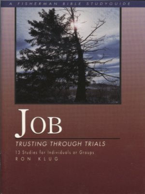 cover image of Job